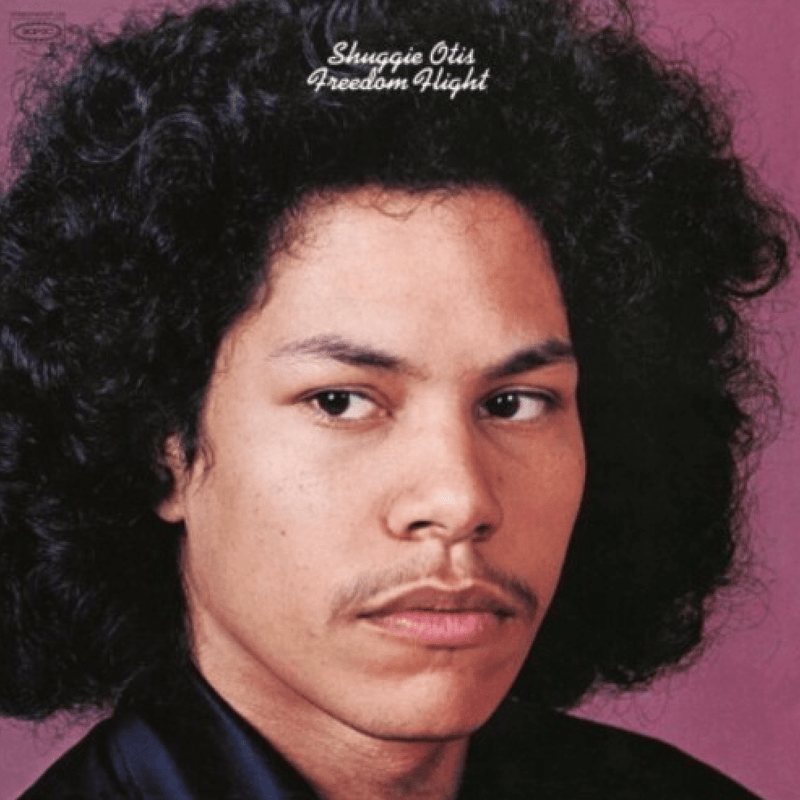 Shuggie Otis -  Freedom Flight (LP - 180 Gram Vinyl) Music On Vinyl